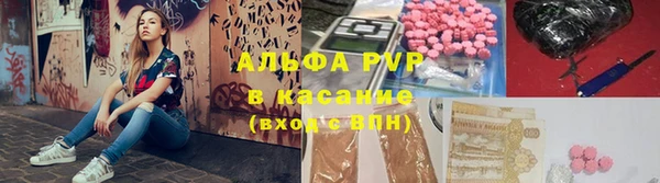 СК Аркадак