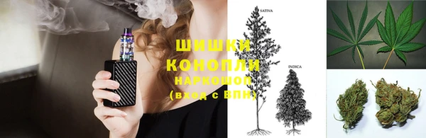 крисы Арсеньев