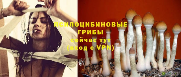 MESCALINE Армянск