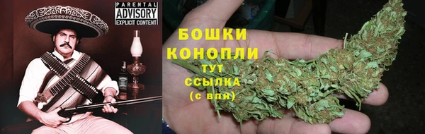СК Аркадак