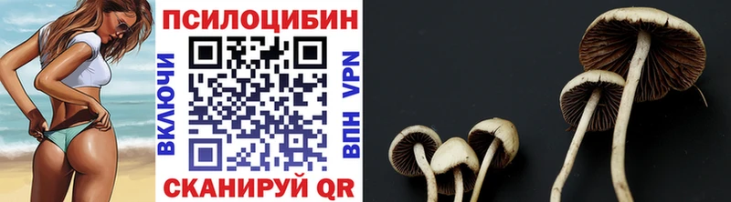 ОМГ ОМГ ссылка  что такое   Спас-Клепики  Псилоцибиновые грибы Psilocybine cubensis 