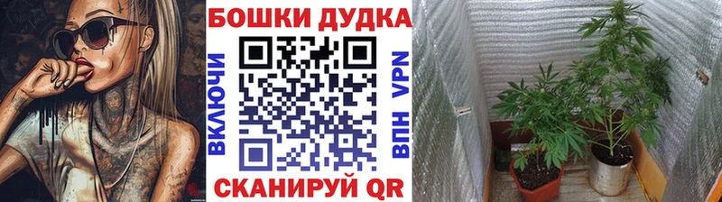 это формула  KRAKEN вход  Бошки Шишки White Widow  Спас-Клепики  купить  сайты 